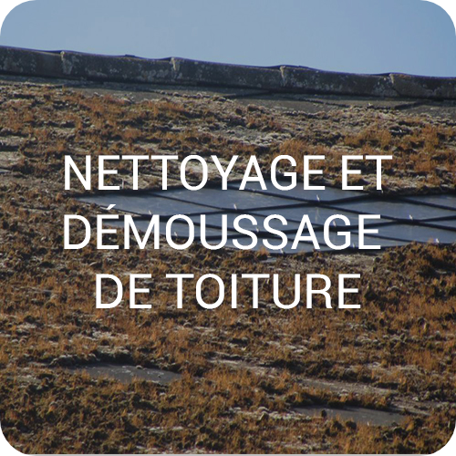 Nettoyage demoussage modified